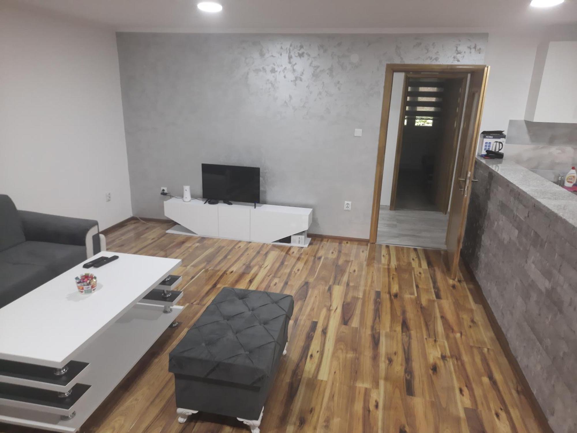 Apartment Micevic *